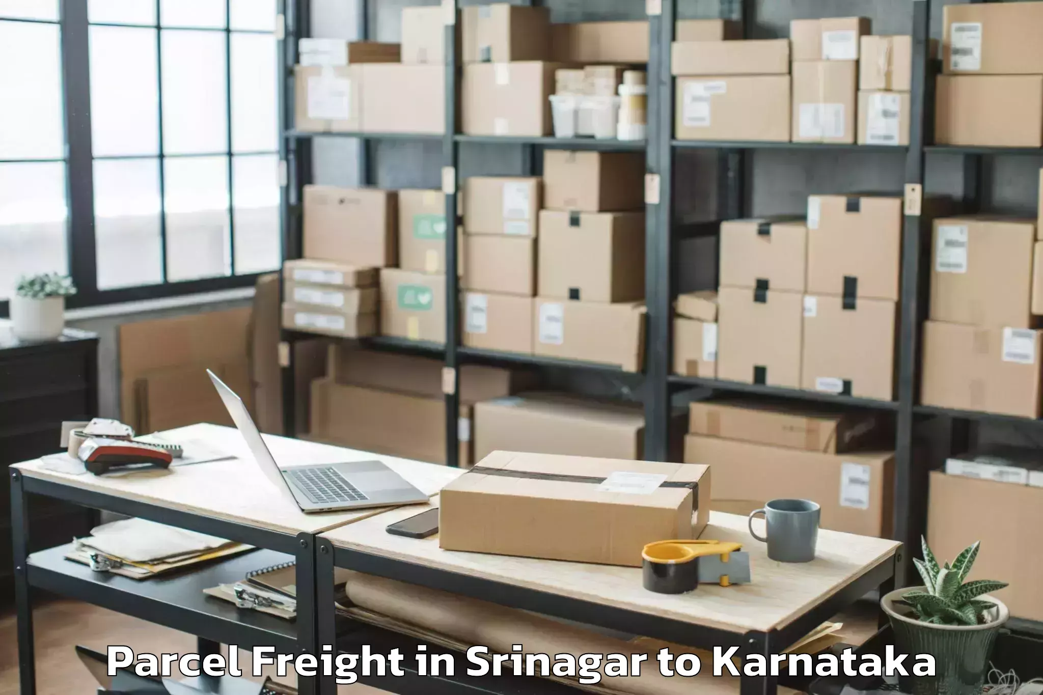 Top Srinagar to Vr Mall Bengaluru Parcel Freight Available